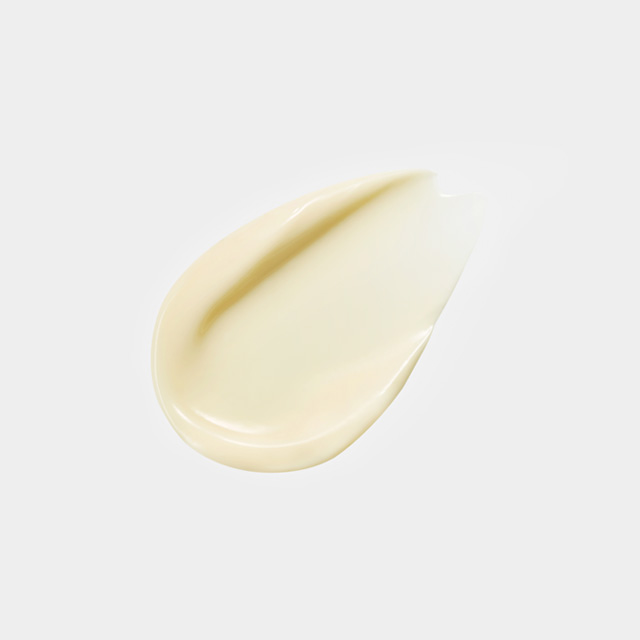 Concentrated Ginseng Renewing Perfecting Cream EX Classic 2