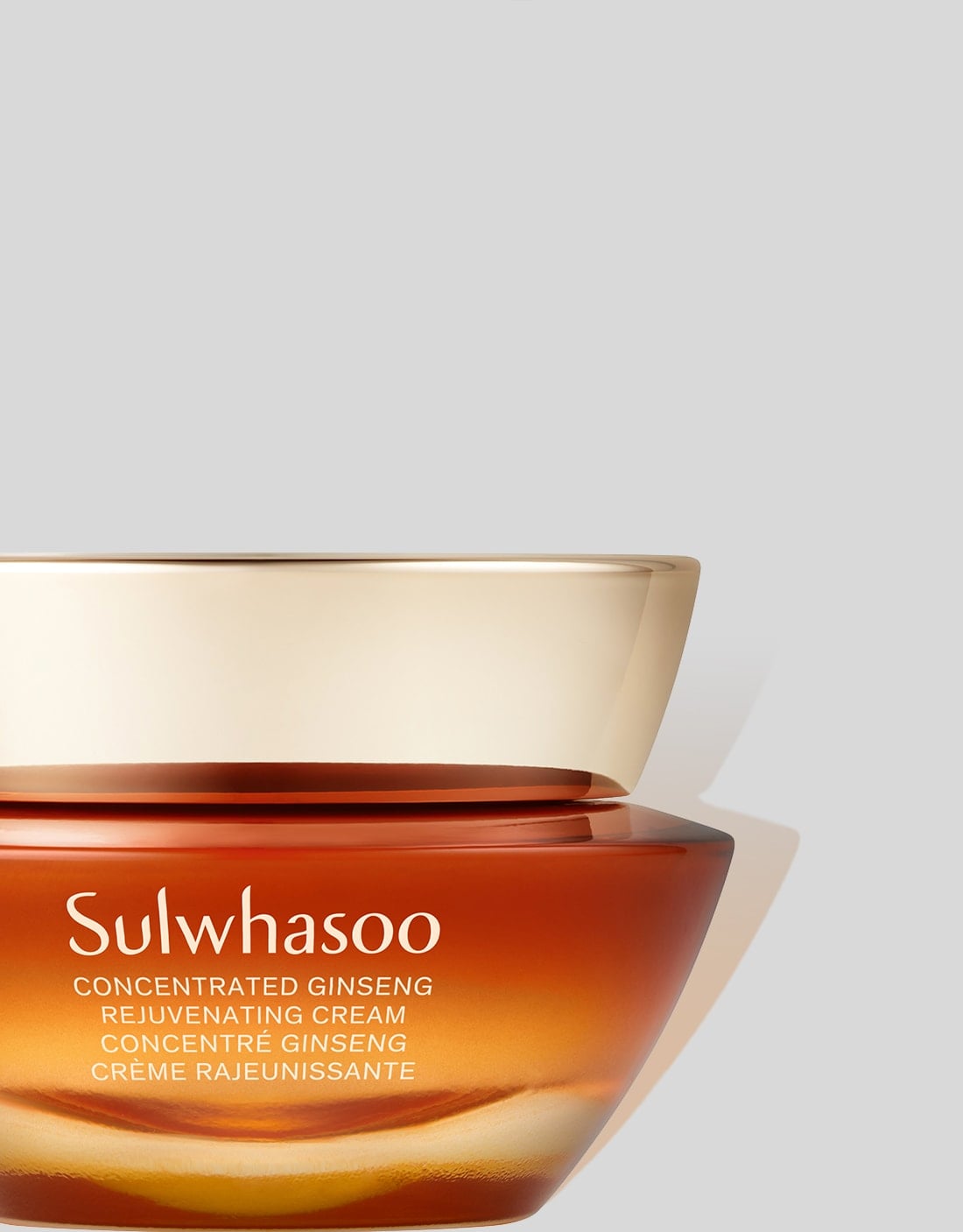 CONCENTRATED GINSENG REJUVENATING CREAM