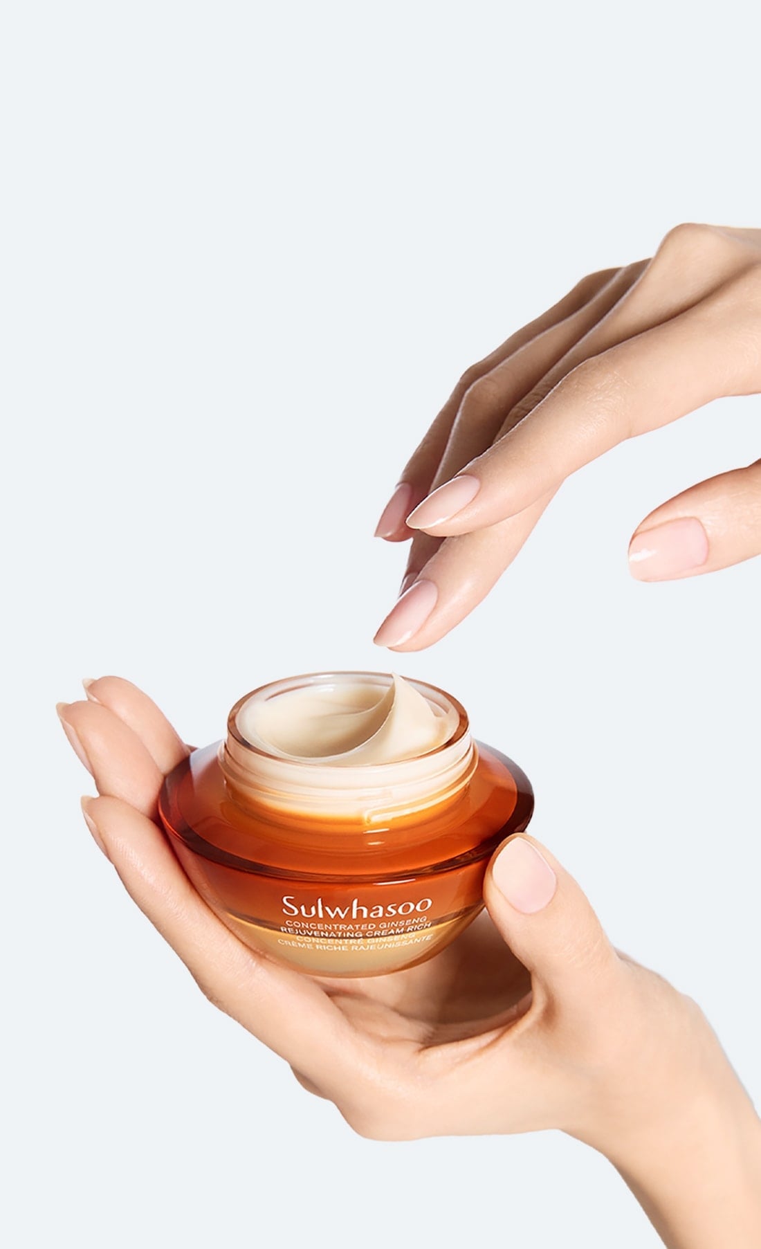 CONCENTRATED GINSENG REJUVENATING CREAM RICH